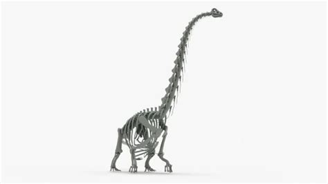 Argentinosaurus Rigged Skeleton 3D Model | Creature Guard