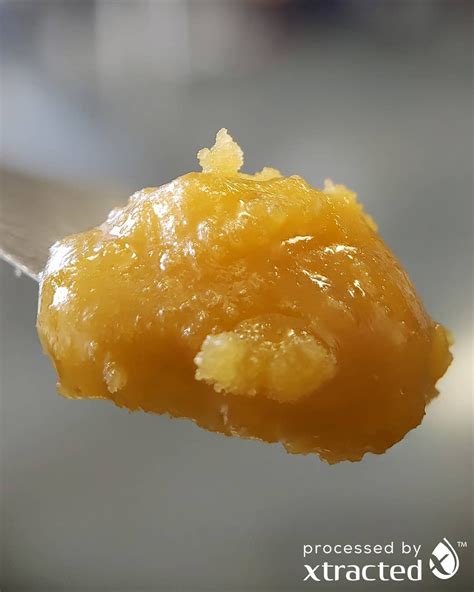 Hash Oil - Xtracted Labs