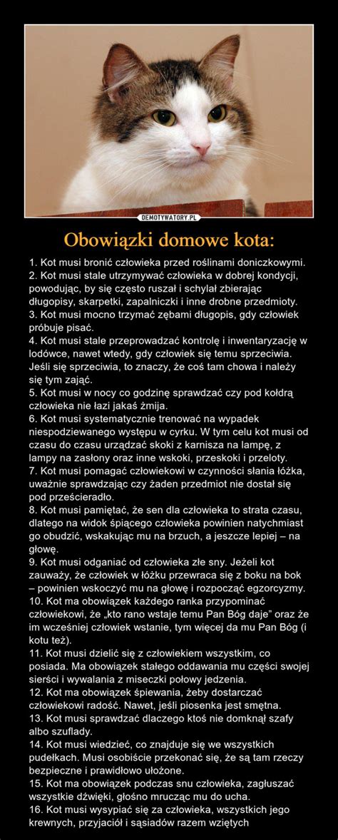 Obowiązki domowe kota Demotywatory pl