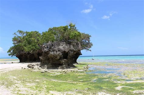 L Isola Di Pemba Bellezza Dell Oceano Indiano Viaggio A Zanzibar