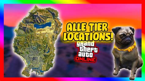 ALLE TIER LOCATIONS Der WILDLIFE PHOTOGRAPHY CHALLENGE In GTA 5 Online