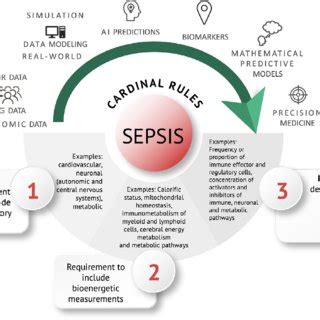 Systemic Pathophysiological Characteristics Of Sepsis Maladapted