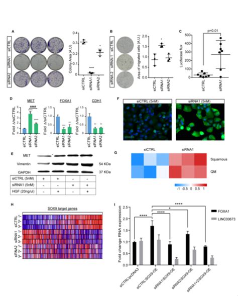 胰腺导管腺癌相关的隔室特异性lncrna的综合分析