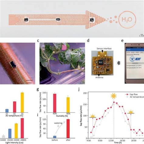 Schematic of wearable sensors for plant monitoring | Download ...