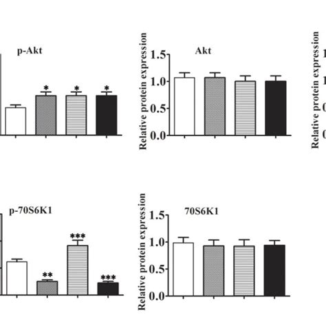 Rapamycin Induces Autophagy Via Activation Of The Mekerk Pathway Download Scientific