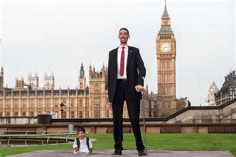 How Tall Is the Tallest Person in the World? | New Health Advisor