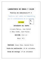 Docx Ondas Y Calor Calentamiento Docx Dokumen Tips