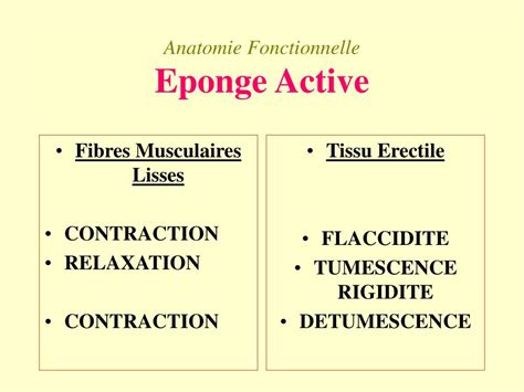 PPT Troubles de la sexualité et dysfonction érectile PowerPoint