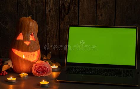 Halloween Pumpkins On Rough Wooden Boards With Candles And Rose Glowing