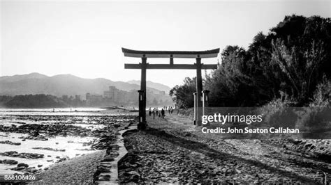 Aoshima Shrine Photos And Premium High Res Pictures Getty Images