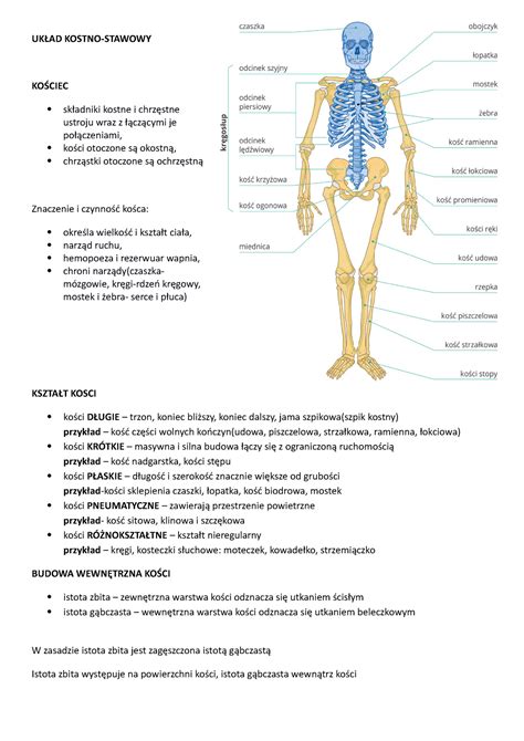 Uk Ad Kostny Notatki Uk Ad Kostno Stawowy Ko Ciec Sk Adniki Kostne