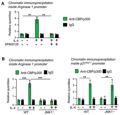 Cells Free Full Text Distinct Responses To Il4 In Macrophages