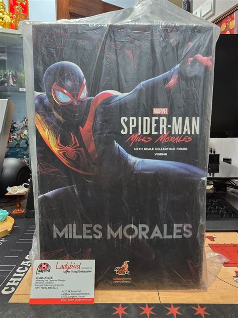 Hot Toys Spider Man Miles Morales Playstation Ps Hobbies Toys Toys Games On Carousell