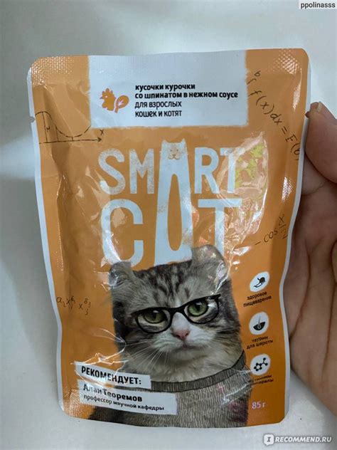 Корм для кошек Smart Cat Smart Cat паучи для кошек и котят со вкусом ...