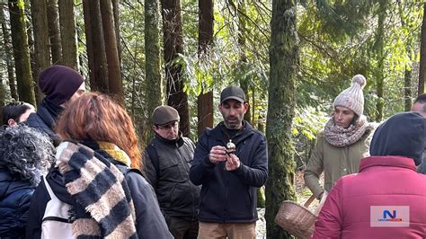 40 pessoas participaram em passeio Micológico em Lamego Novum Canal