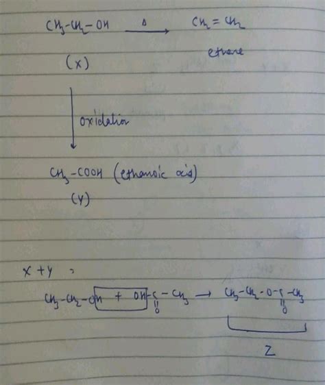 An Organic Compound X With A Molecular Formula C H O Undergoes