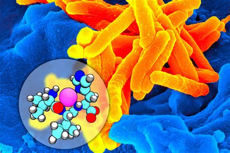 Mycobacterium Tuberculosis Structure