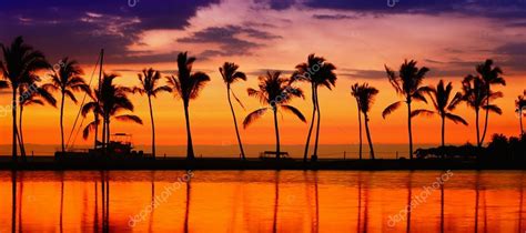 Beach paradise sunset ⬇ Stock Photo, Image by © Maridav #54891695