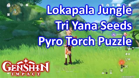 Lokapala Jungle Tri Yana Seeds Pyro Torch Puzzle Genshin Youtube