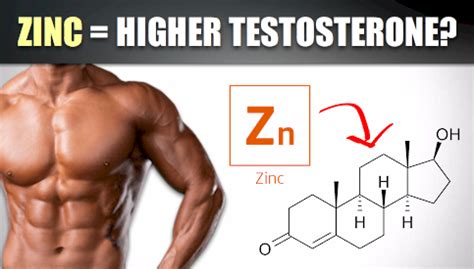 Does Zinc Boost Testosterone Great Green Wall