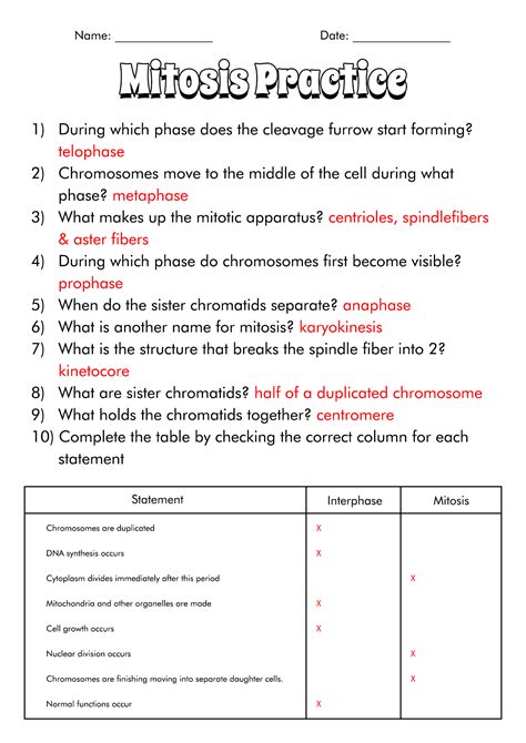 Mitosis Worksheet 290