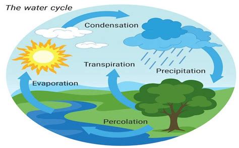 Dav Class 7 Sst Chapter 5 Solutions Water Surrounding The Earth Solutiongyan