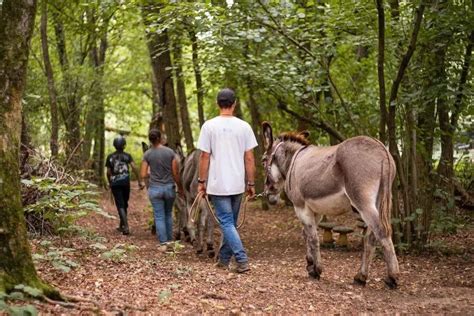 Passeggiata Con Gli Asini Sul Colle Di San Michele E Merenda Holidoit