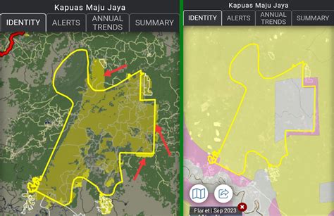 Ormas Dayak Duduki Areal Pt Kapuas Maju Jaya Ini Bukti Citra Satelit