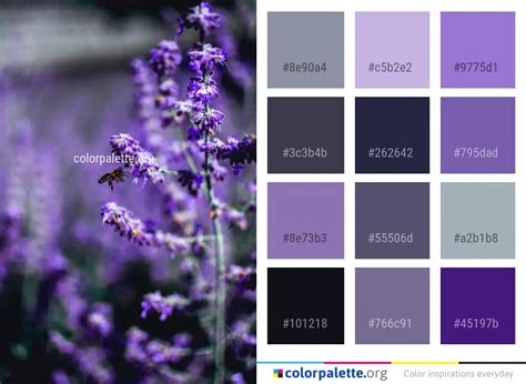 Lavender Purple Plant Color Palette