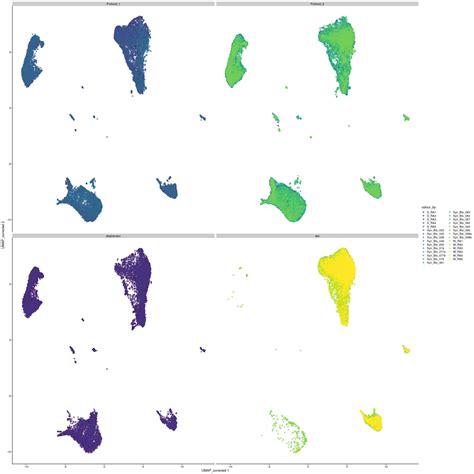 ScRNAseq Protocol 04 Annotation