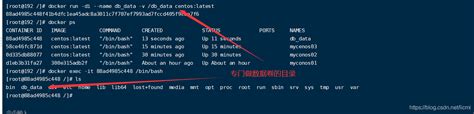 Docker数据卷实现数据共享docker共享数据卷 Csdn博客