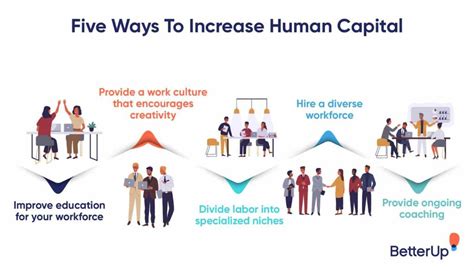 What Is The Role Of Education In Human Capital Formation