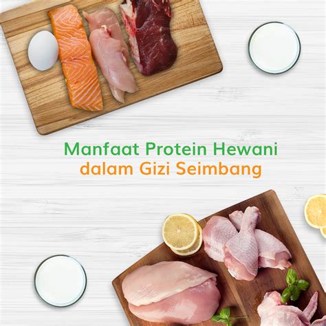 MANFAAT PROTEIN HEWANI DALAM MEMENUHI GIZI SEIMBANG – So Good