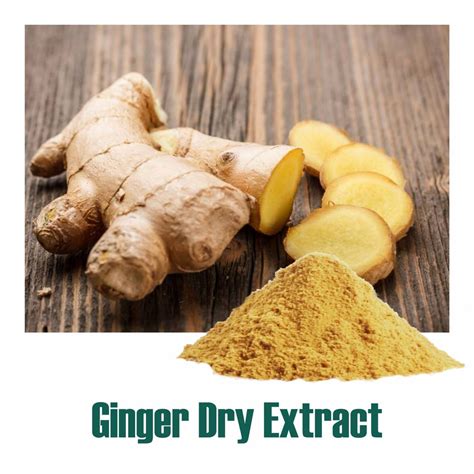 Ginger Zingiber Officinale Dry Extract 5 Gingerols By UV