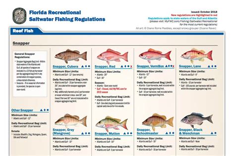 Florida Freshwater Fishing Regulations 2024 Cybil Candida