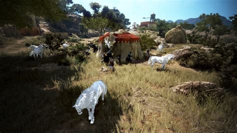 Black Desert Turkey MENA Yeni Sınıf Deadeye Pearl Abyss