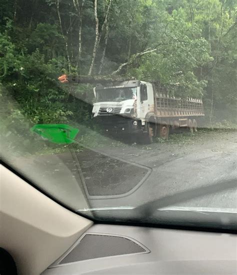 Acidente Na Ers Envolvendo Caminh O Carregado De Porcos Jornal