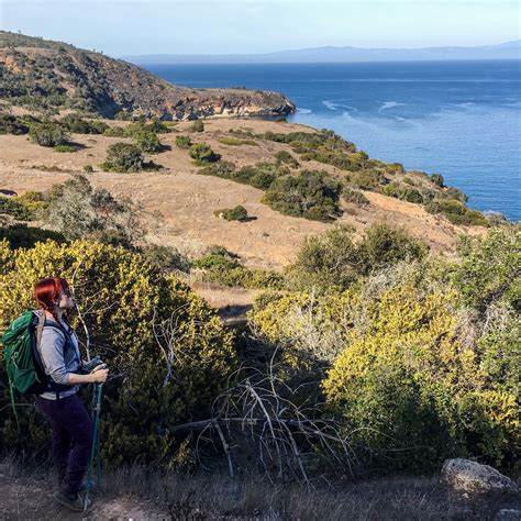 Channel Islands National Park A Quiet Refuge A Stones Throw From Los