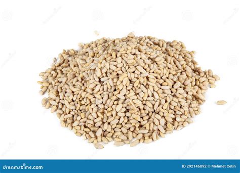 Organic Pine Nuts Bulk And Fresh Shelled Pine Nuts Individually