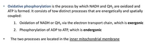 Electron Transport And Oxidative Phosphorylation Flashcards Quizlet