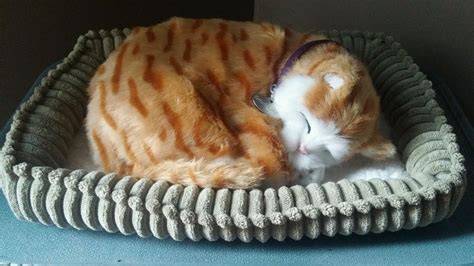 Perfect Petzzz Orange Tabby Cat Kitten Plush Breathing Sleeping Pet