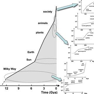 These 7 graphs show changing values of energy rate density, Φm , for ...