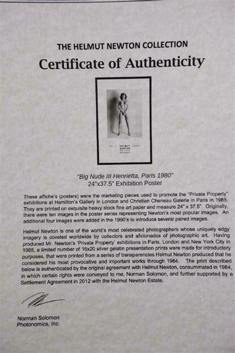 Helmut Newton Big Nude III Henrietta Verkocht Kunstveiling Nl