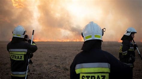 Wildfires Rip Through Polands Biggest National Park Bbc News