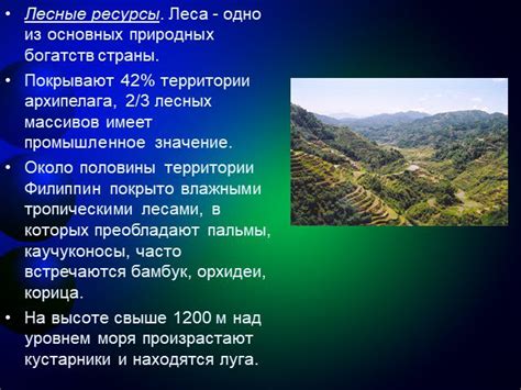 Презентация "Филиппины" по географии – скачать проект