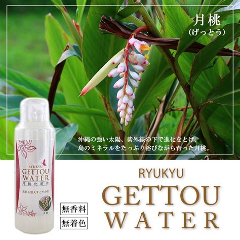 琉球月桃化粧水 200ml×10本 沖縄ウコン販売 沖縄 土産 スキンケア 沖縄産月桃使用 水蒸気蒸留法により作りあげた 天然 無添加化粧水