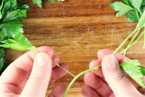 Chopped Parsley