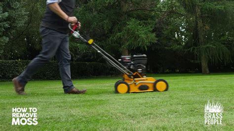 How To Remove Moss From Your Lawn Great Lawns Made Simple Youtube