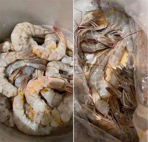 Pattaya Woman Gets Rotten Shrimp Feeds Them To Dogs Complains On