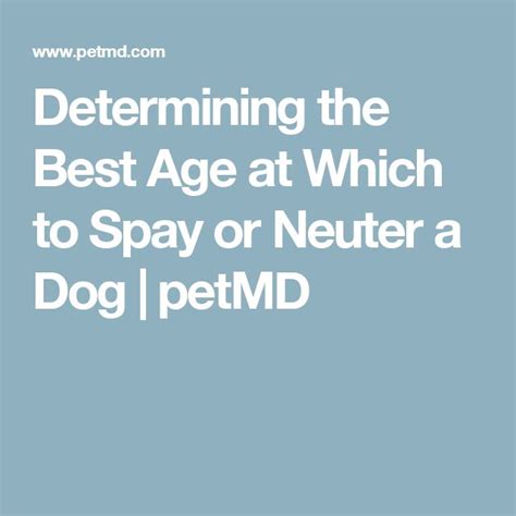 Determining the Best Age at Which to Spay or Neuter a Dog | petMD | Neuter, Spay, Diy natural ...